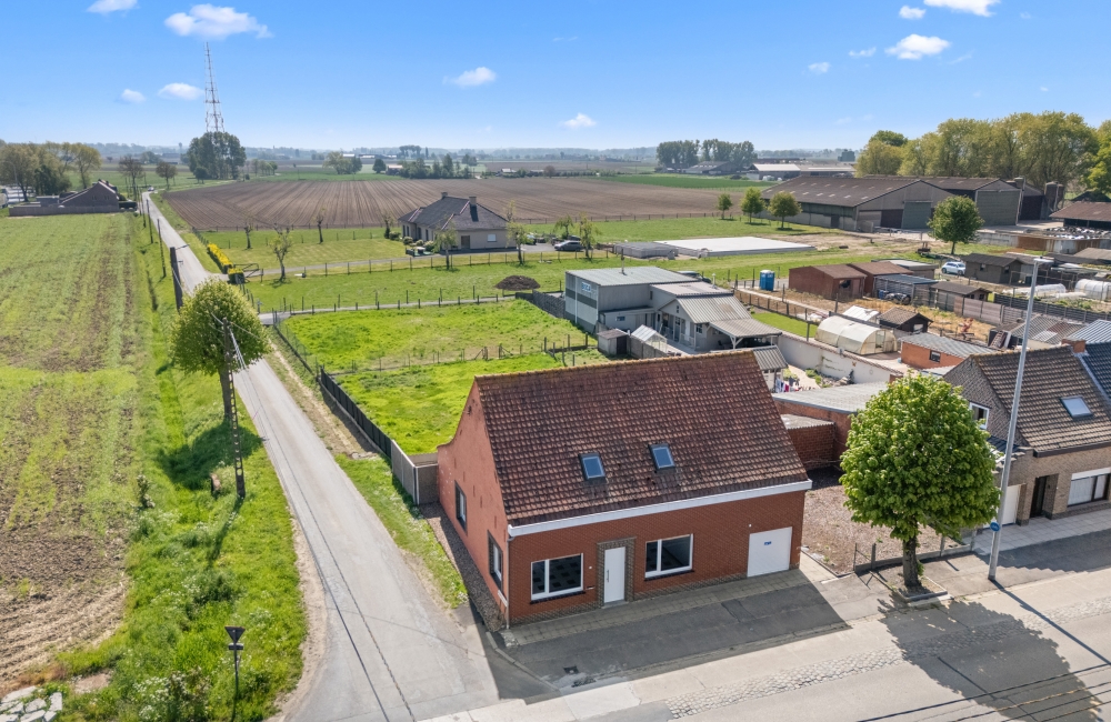 Van droom tot werkelijkheid: Laura start Royal Paws in haar nieuwe pand